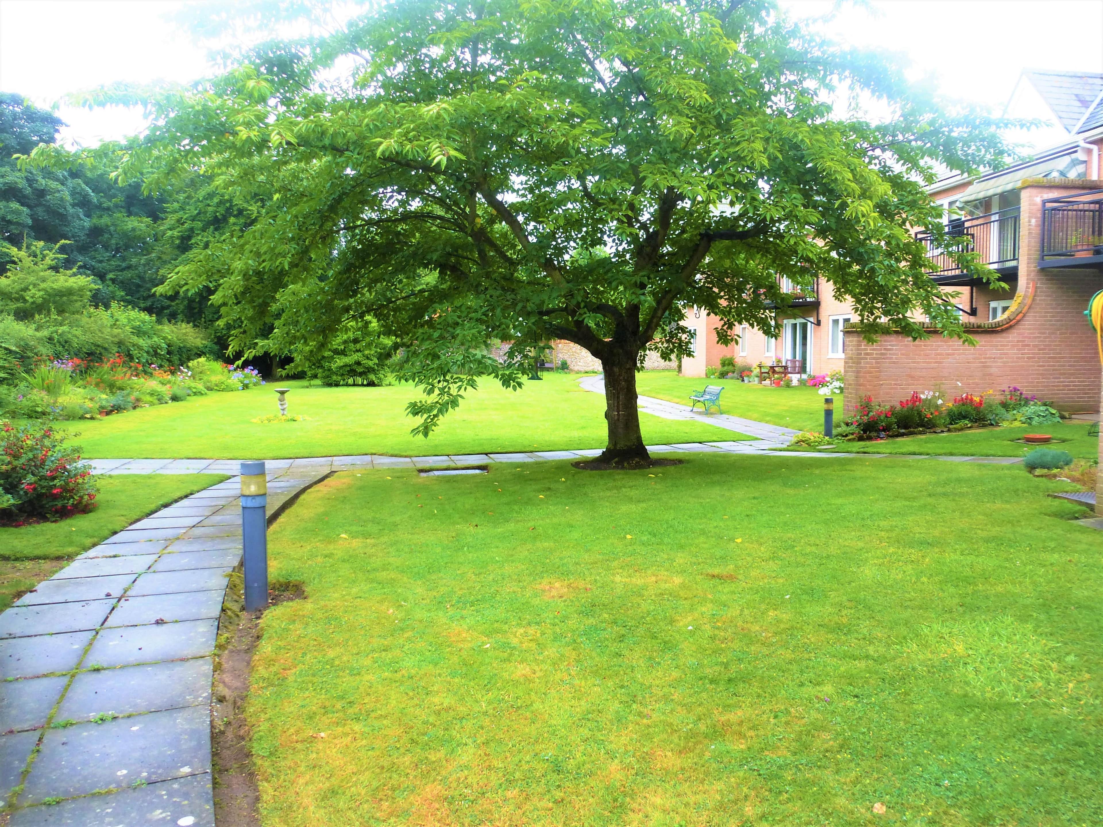 Property photo 6