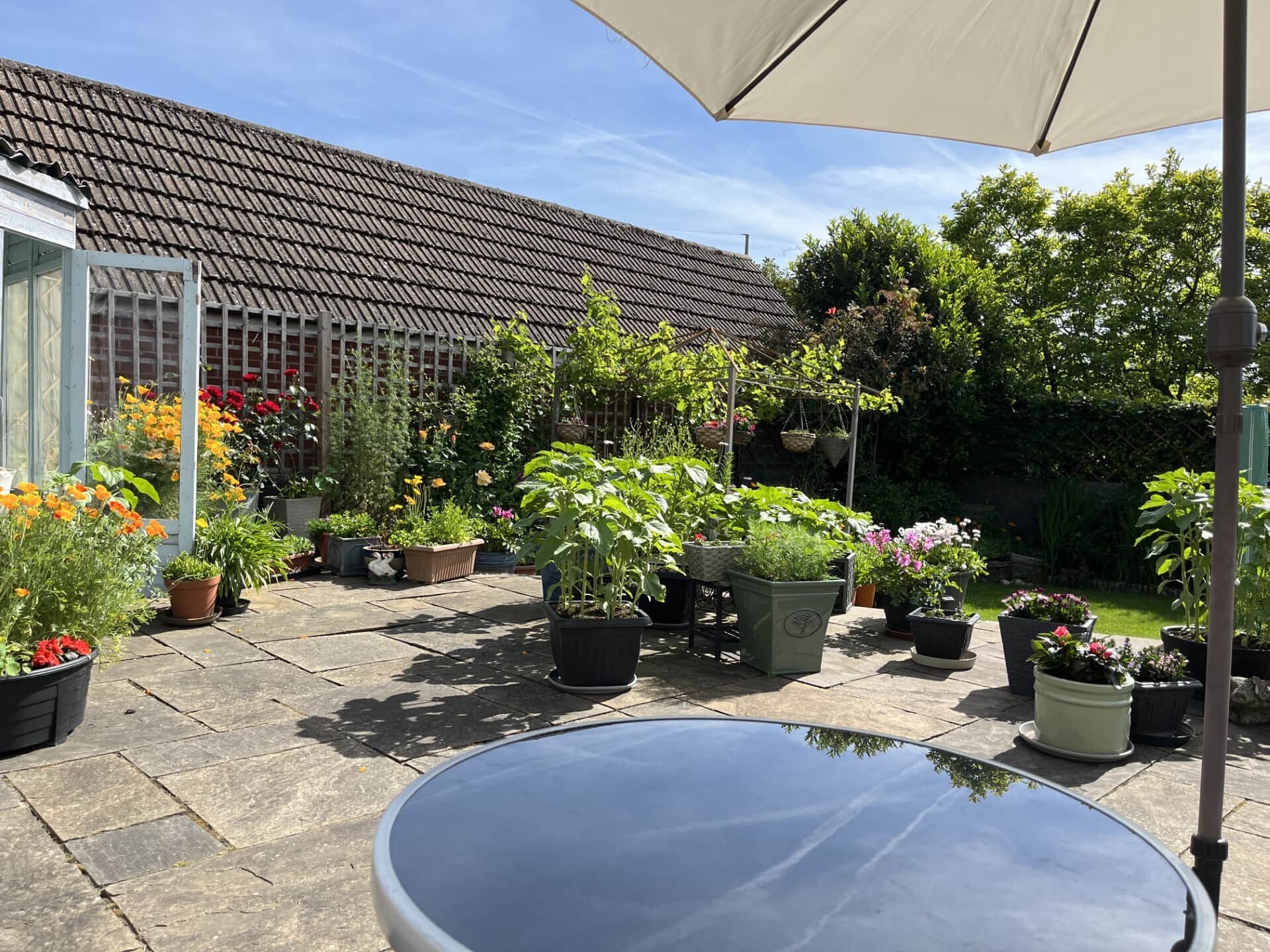 Property photo 19