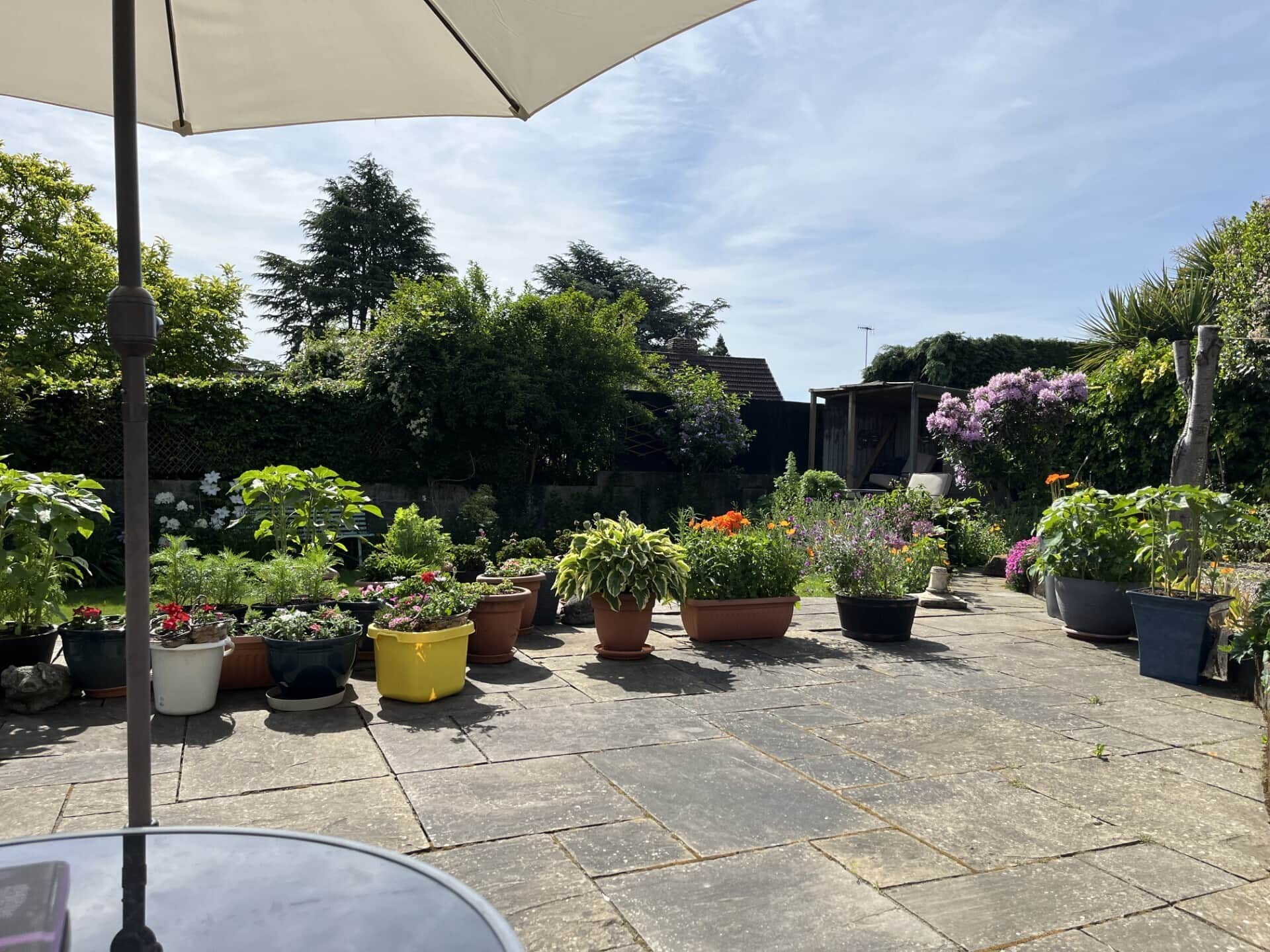 Property photo 20