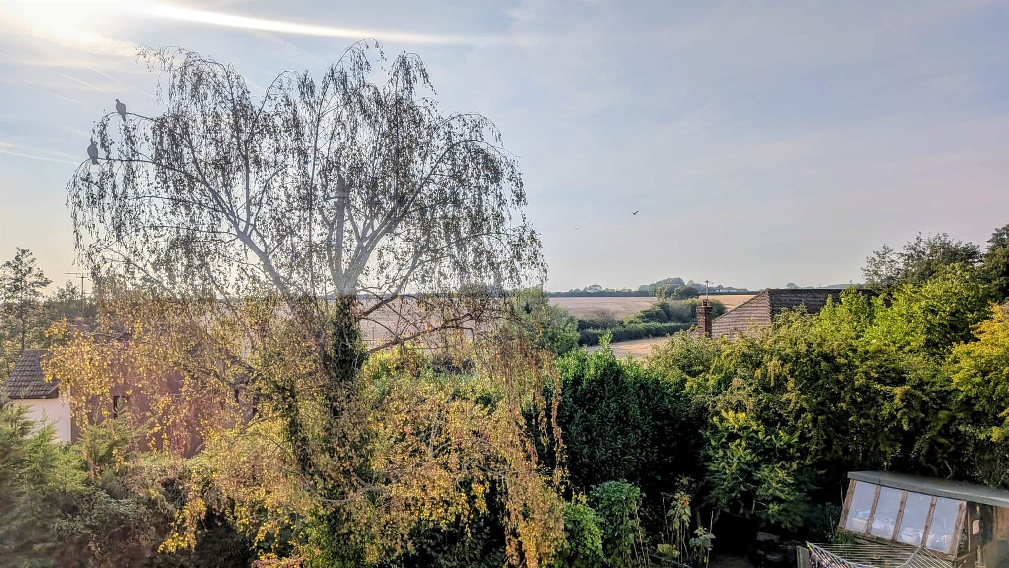 Property photo 29