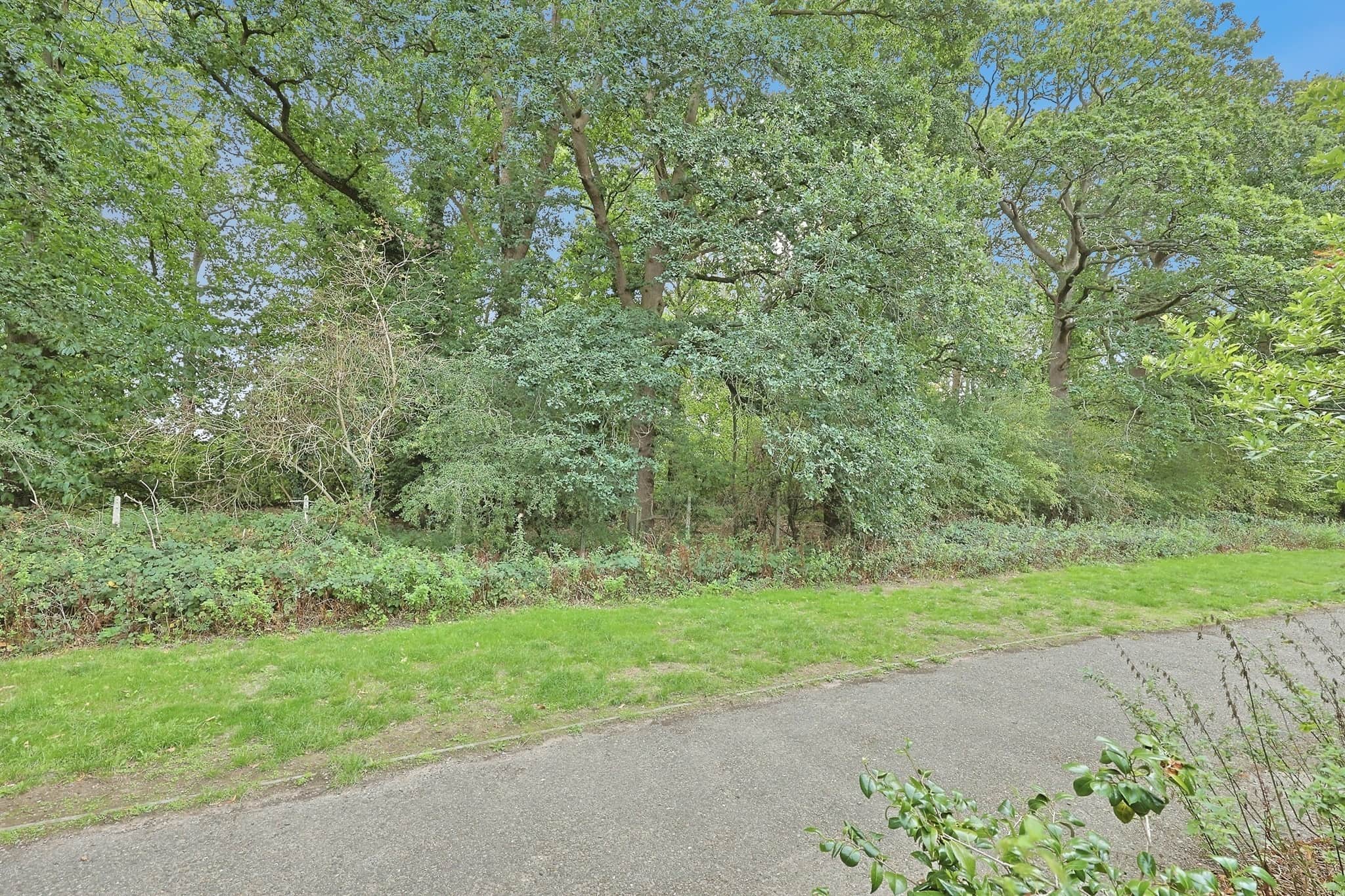 Property photo 17