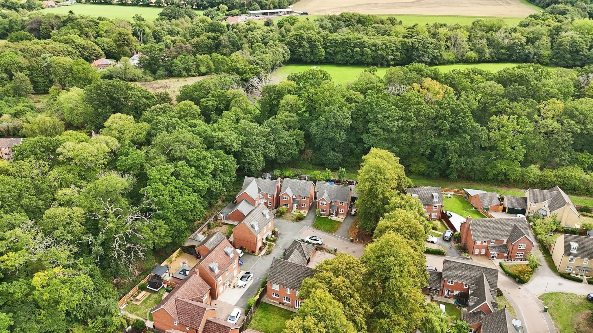 Property photo 18